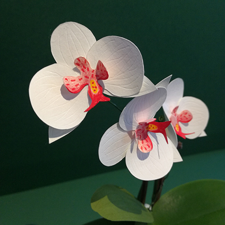 Branche fleurs d'orchidée en papier