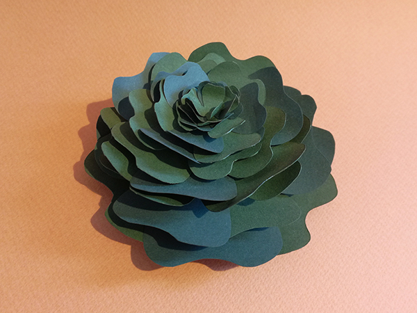 Succulente en papier découpé, mise en volume