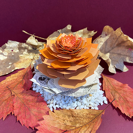 Succulente littéraire aux couleurs d'automne et base extraite d'un Larousse illustré de 1968