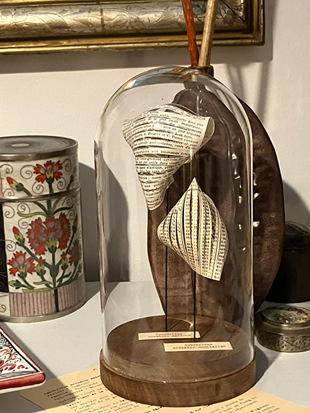 Coquillages découpés dans un Larousse mensuel des années 30. Cloche instalée sur site