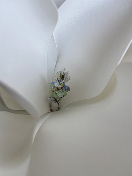Détail d'une fleur de magnolia avec pistil découpé dans un plan du 20e arrondissement de Paris