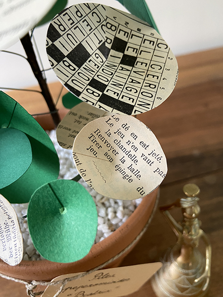 Pilea peperomioïdes Beatrix, détail d'une feuille "mots croisés anciens"