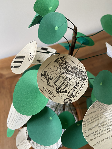 Pilea peperomioïdes Beatrix, détail d'une feuille "grammaire"