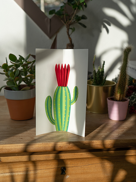 Carte Fleur de cactus Rouge mise en scène par Léa Lalonde, agence Boujou bien !