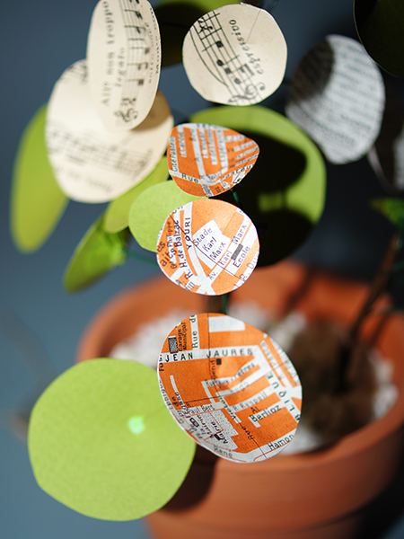 Pilea peperomioïdes Beatrix, détail de feuilles Villejuif