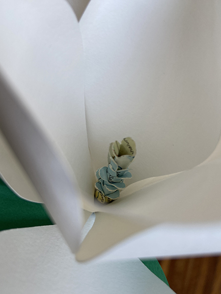 Détail d'une fleur de magnolia avec pistil découpé dans un atlas ancien, planche Maroc