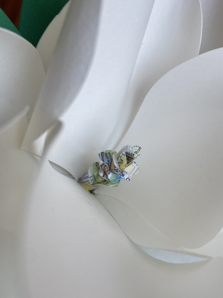 Détail d'une fleur de magnolia avec pistil découpé dans un plan du 20e
