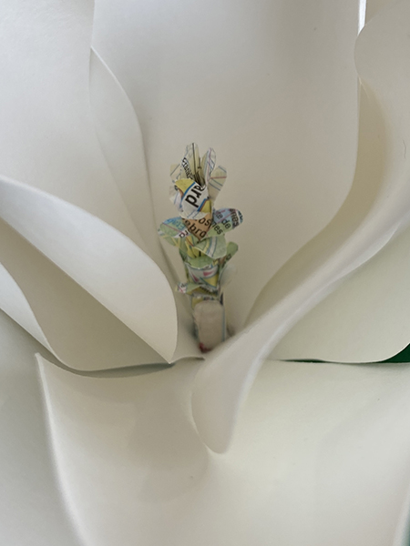 Détail d'une fleur de magnolia avec pistil découpé dans un plan du 20e