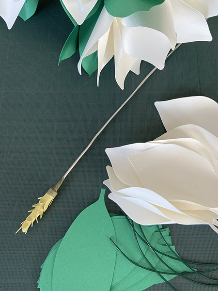 Magnolia "France-Maroc", fleurs en cours de fabrication