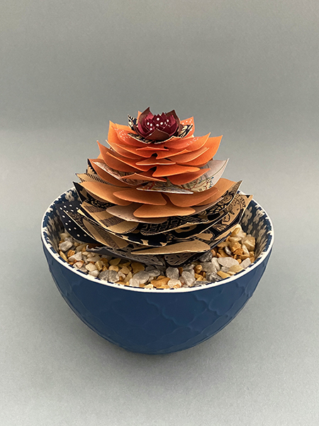 Succulente "La dentelière bretonne" découpée dans la couverture d'un Larousse mensuel