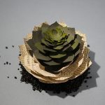 Succulente "La Désirée de Guitry" découpée dans un Larousse mensuel de 1927