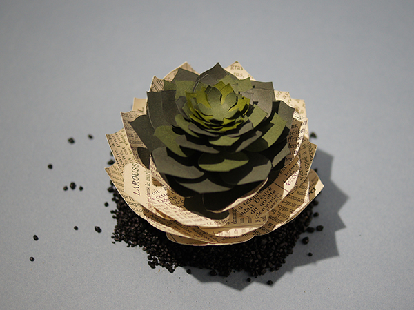 Succulente "La Désirée de Guitry" découpée dans un Larousse mensuel de 1927