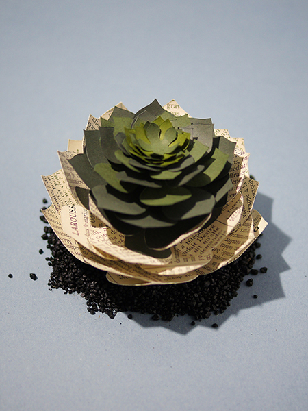 Succulente "La Désirée de Guitry" découpée dans un Larousse mensuel de 1927