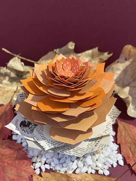 Succulente "La Mexicaine" découpée dans la page Mexique d'un Larousse de 1968